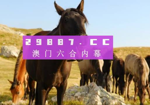 澳门 第9页