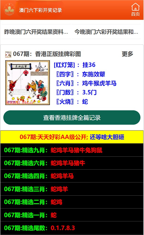 新澳门开奖结果，探索与解析，新澳门开奖结果深度解析与探索